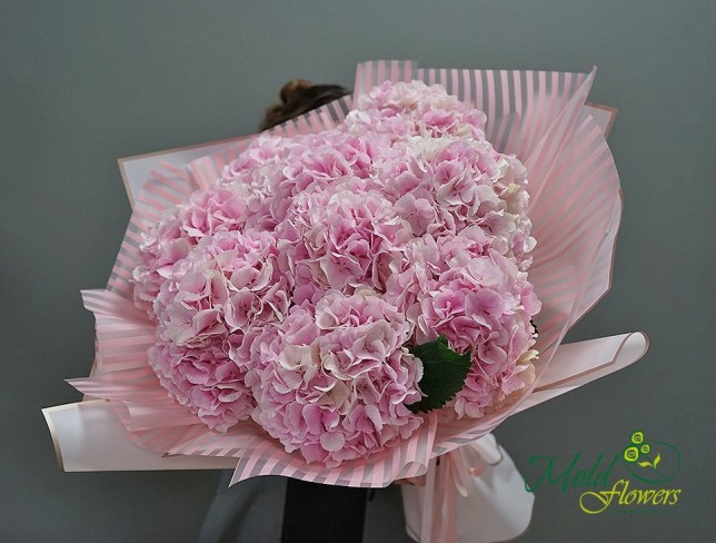Bouquet of 9 pink hydrangeas (on order 10 days) photo